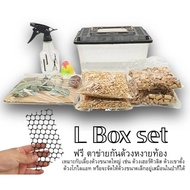 beetle Set Equipment Box for keeping as pet Available In 4 Sizes