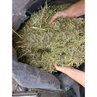 Timothy hay chaff premium short powder