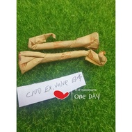 Honda C100 C 100 (1PC) Valve Exhaust Valve Intake Local / Japan