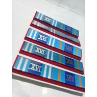 Ribbon tniJasa 8 16 years| Satya PDH badge 8 16 years convex