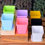 【Special Offer】NEWThick Small Black Square Wholesale Plastic Flowerpot Colorful Succulent Flower Pot Seedling