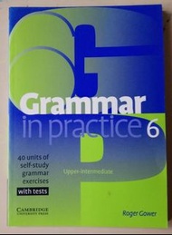 Grammar in practice 6