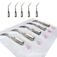 Dental Equipment Oral Dental Materials Disposable Dental Scaler Work Tip Dental Scaler Wide/Pointed 