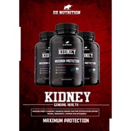 Ox Nutrition Kidney Maximum Protection Original QR Verify