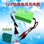 12V20AH Battery Charger 12V Volt 20Ah Electric Vehicle Single Lead-Acid Battery Charger Clip Univers