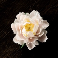 Lotus Lotus Peony Floral Fragrance Insert Zen Ceramic Handmade Decorations Tea Table Decorations Hou