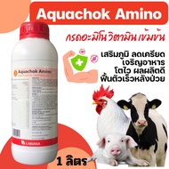 [1ลิตร] อควาโช้ค อะมิโน - Aquachok Amino ขนาด 1000 มิลลิลิตร