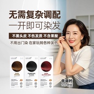 ECOHAIR 白发救星 Herbal Treatment Color Wash 5 sachets x20ml Hair Dye Hair Color