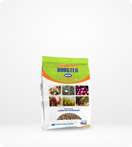 PUPUK NPK BOOSTER DGW - 1 kg
