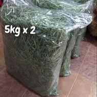Timothy Hay 10kg 1st Cut Premium Double Compress for rabbit, cavy, chinchilla and other pets
