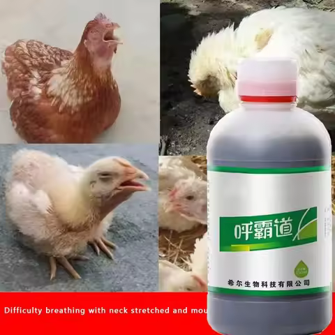 2024 Poultry Oral Liquid, Duck Goose Chicken Cough Asthma Phlegm Alleviation Asthma and Bronchitis R
