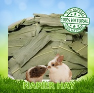 NAPIER HAY / NAPIER GRASS 100GM FOR GUINEA PIG, RABBIT