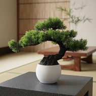 Artificial Pine Tree Bonsai, 29cm, Home, Room, Desktop Ornament  Bonsai Pokok Pine Tiruan, 29cm, Hia