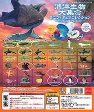 海洋生物大集合-扭蛋