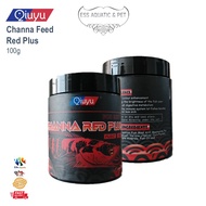 Qiuyu Channa & Arowana Red Plus Fish Pellet Channa Arowana Red Yellow Colour Enhancer Makanan ikan a