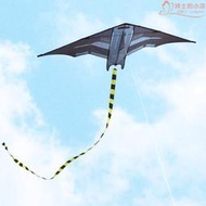 平穩易飛永健飛機風箏大人專用大型專業級隱形戰鬥機高檔傘布特大