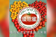 台中優恩蜜溫室蔬果觀光果園-採果(小番茄、蔬菜)體驗券