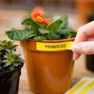 Brother TZe-631 護貝標籤帶 ( 12mm 黃底黑字 ) 預計4/29後出貨