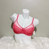 34D — Felina Bra (fits 36C)