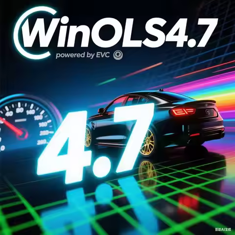 Winols 4.7 Full Activated immo tool Windows 7 10 11 No Need Vmware Multi-language + Damos +ECM TITAN