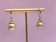 金色眼淚 天然海水珍珠 南洋金珠 純銀耳環