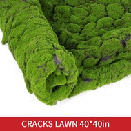 Selens ฉากหลังถ่ายภาพพื้นหลังรูปแบบป่าอุปกรณ์ประกอบงานถ่ายภาพสำหรับเครื่องประดับเครื่องสำอาง