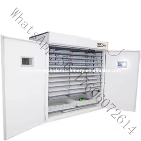 3 Years Warranty 5000 Eggs Incubator High Quality Solar Energy Egg Incubator
