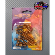 ✓▤Heng Gold Crankcase Bolts For Mio Sporty 17Pcs Set