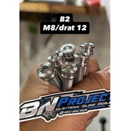 M8 Bolts 12 Stainless Steel Bolts, Custom handmade Coak and Striped model (B2)