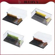 [Blesiya] 1/64 Diecast Car Display Case Diorama Diecast Car Diorama Display Case Parking Diorama Bas