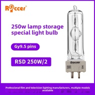 MSD250W/2 GY9.5 Single-Ended Bulb