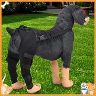 Dog Leg Support Pet Knee Brace Adjustable Dog Knee Brace for Acl Injuries Support for Luxating Patel