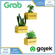 Wooden Cactus Flower Pot Wall Decoration CACTUS SUCCULENT POT/