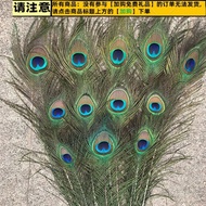 AT/ Peacock Feather Flower Feather Peacock Tail Feather Decoration Peacock True Feathers Vase Decora