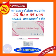 20X แผ่นทดสอบไข่ตก LH Ovulation test strip  แผ่นตรวจไข่ตก ชุดทดสอบไข่ตก ชุดตรวจไข่ตก แบบจุ่ม เห็นชัด ดูง่าย ราคาพิเศษ