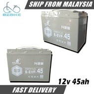 (1PCS) 12V 45AH Battery Electric Tricycle Scooter 6-EVF-45 (SCREW TYPE)