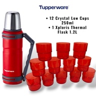 Tupperware Xploris Thermal Flask 1.2L & 12 Crystal Low Cups 250ml