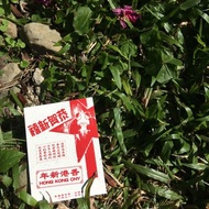 新年賀卡 | 1948洋酒