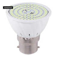 Germicidal Light  Lamp LED UV Desinfection Lamp B22 LED Ultraviolet Light Bulb