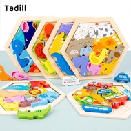Tadill Wooden Jigsaw Puzzle Games IQ Education Learning Toy for Boys and Girls Kids