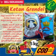 Benih Padi Unggul Bibit Ketan Grendel 5 KG