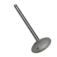 6P2-12111 Intake Valve for Yamaha DF200 225HP 250HP 4 Stroke Outboard Engine 6P2-12111-10-00 Afterma