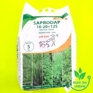 PUPUK SAPRODAP 5 KG AMONIUM POSPAT