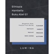 -Roasted Coffee Bean- Ethiopia Hambella Buku Abel Geisha G1 Natural | Specialty