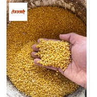 BIJI KACANG DHAL. KUAH DHAL. 100 GRAM KUAH KARI DHAL.