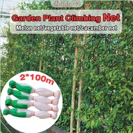 B.D. Garden Plant Climbing Net Vegetables Cucumber Trellis Net Trellis Net 2M*100M