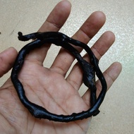 gelang akar Bahar