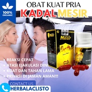 Kada Mesir Kadal Arab Obat Kuat Pria Tahan Lama