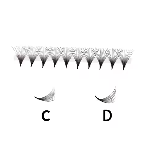 Lashprofessor 5 Cases Premade Volume Eyelashes XL Tray Pointy Base Faux Mink 3D 5D 8D 10D 30D 40D Re