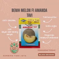 [ Promo] Bibit Benih Melon Amanda Tavi 13 Gram Melon Cap Kapal Terbang